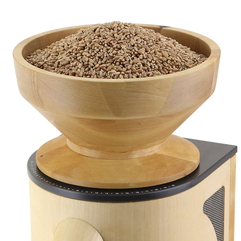 Mockmill Professional 200 Replacement Hopper